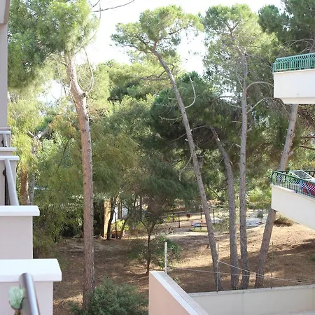 Orchidea Apartmán